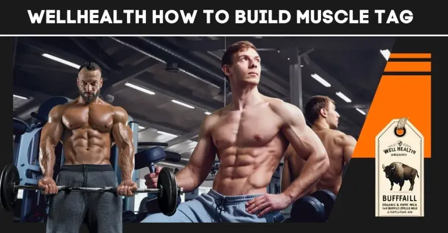 "Wellhealth How To Build Muscle Tag"